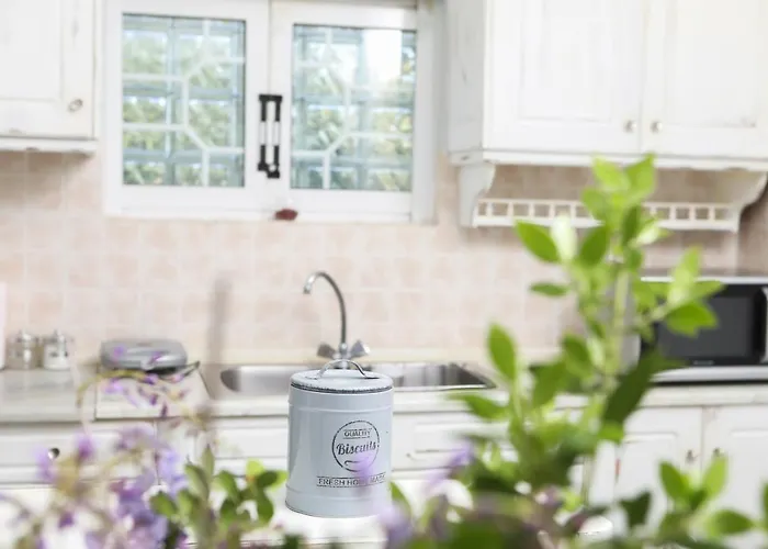 Daire Alexia's Menta *